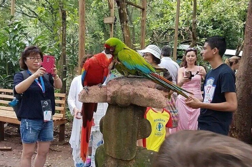 Roatan Wildlife Watching plus ATV Adventure