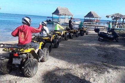 Faune de Roatan et aventure en VTT