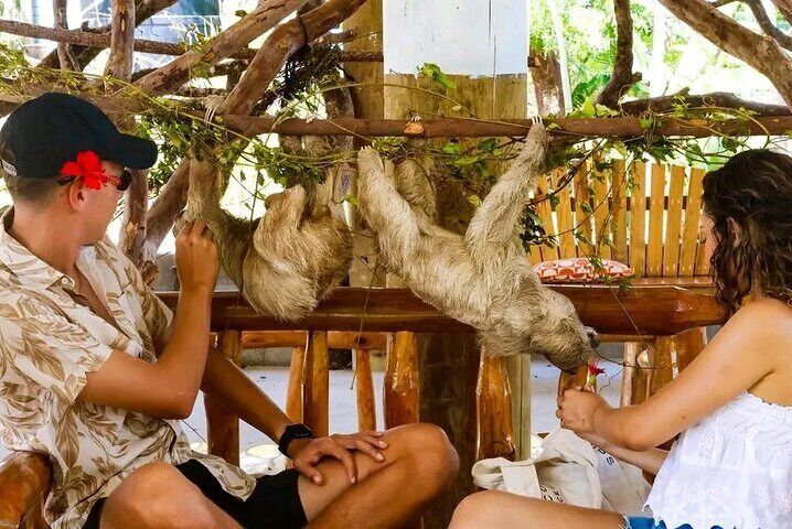 Wildlife Encounter, Chocolate Factory, Sightseeing and Beach 