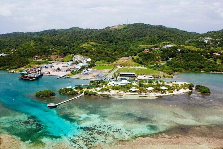 Roatan Mangrove Tunnel,Sightseeing culture and food tasting