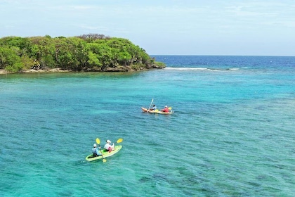 Roatan Shore Excursion: Kayak Harbour Adventure and Reef Snorkel