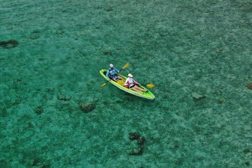 Roatan Shore Excursion: Kayak Harbor Adventure and Reef Snorkel