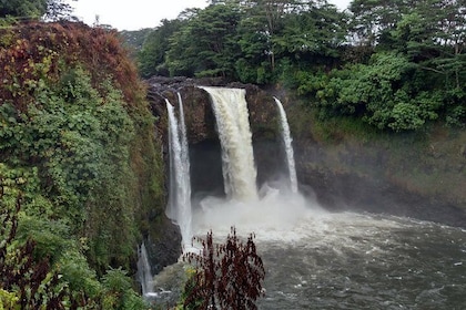 5 Hour Custom Private Tour of Hawaii