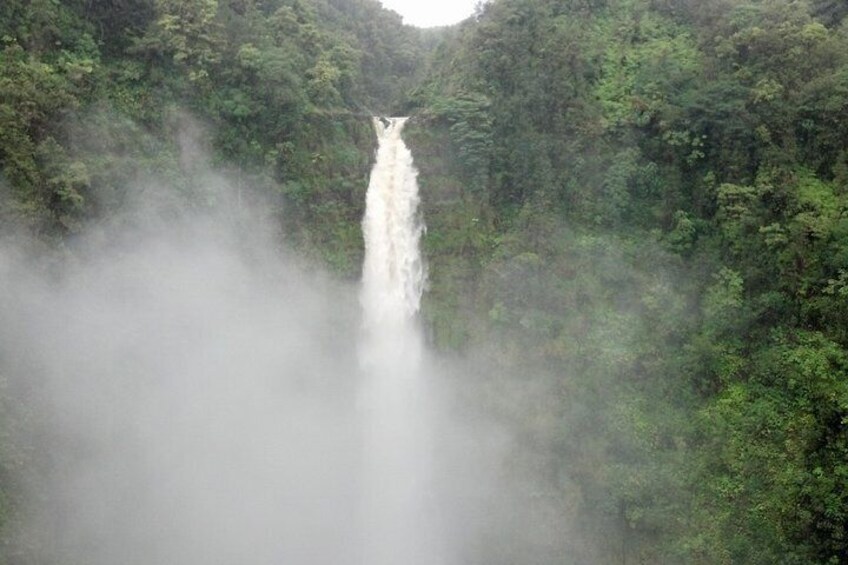 Akaka Falls