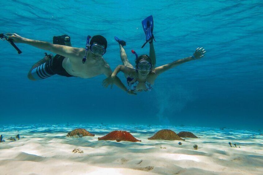 Cozumel Snorkel tour to El Cielo Beach