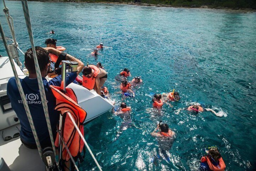 Great cozumel snorkeling tour