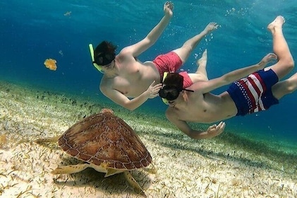 Catamaran Snorkelling tour: El Cielo reef and the Turtle Sanctuary