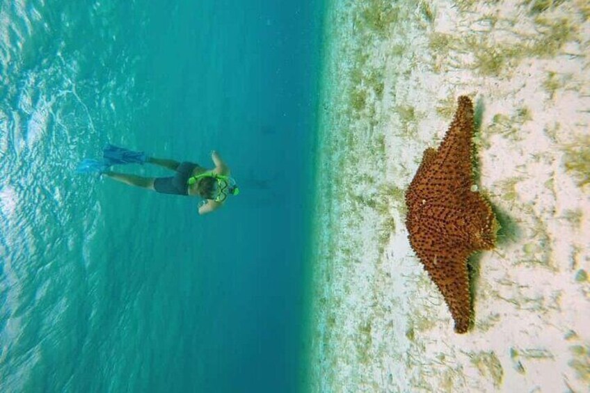 el cielo cozumel tour