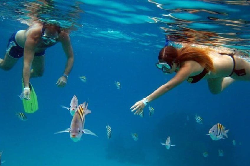 amazing snorkeling