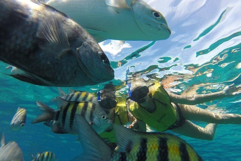 Snorkeling