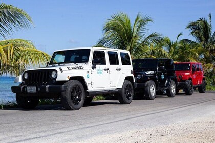 Snorkel combiné Super Cozumel en bateau et en jeep (privé)