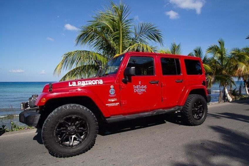 Jeep Tour
