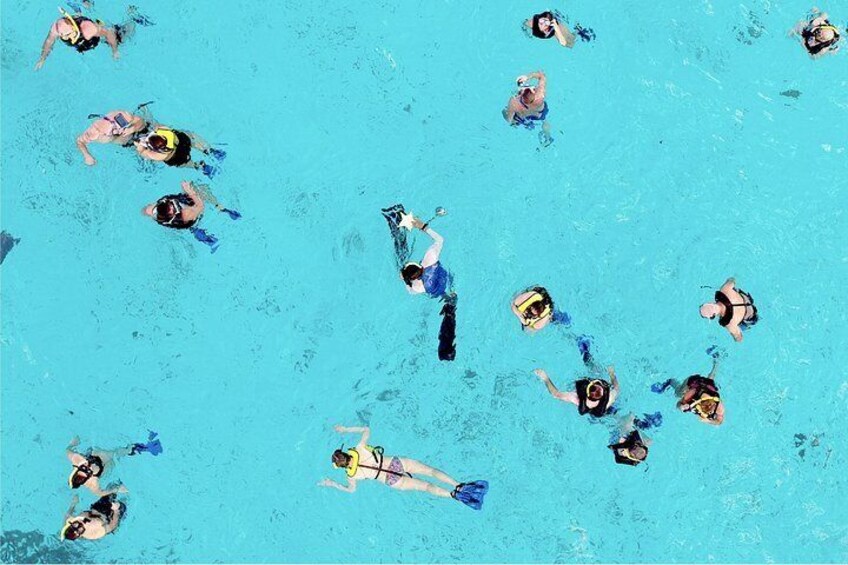 Snorkeling at Tortugas Beach Club