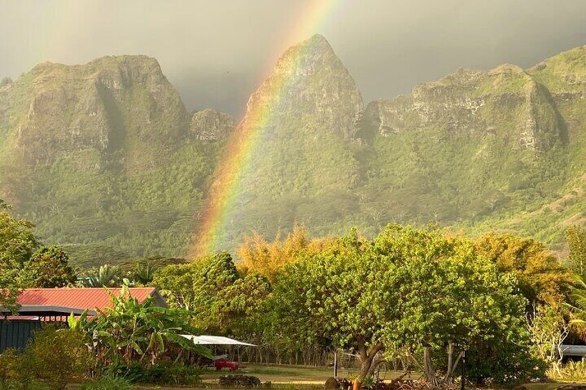 Kauai East Side and North Shore Private Guided Tour