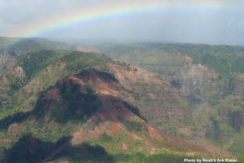 Kauai's Waimea Canyon and South Side Private Guided Tour