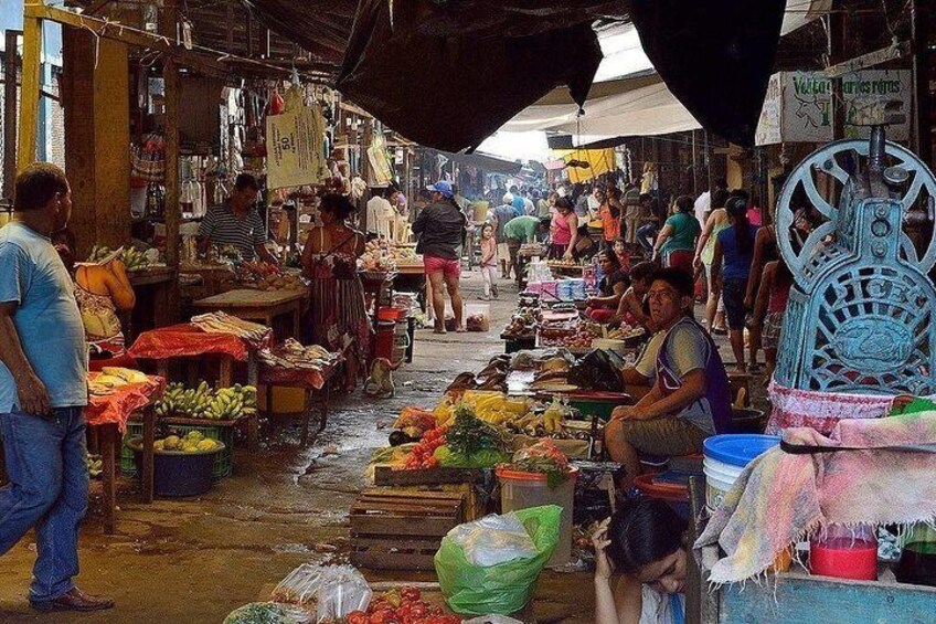 Belen Market,Manatees, Quistococha zoo