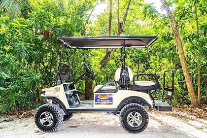 Avis Golf Cart Rental LTD Island Explore