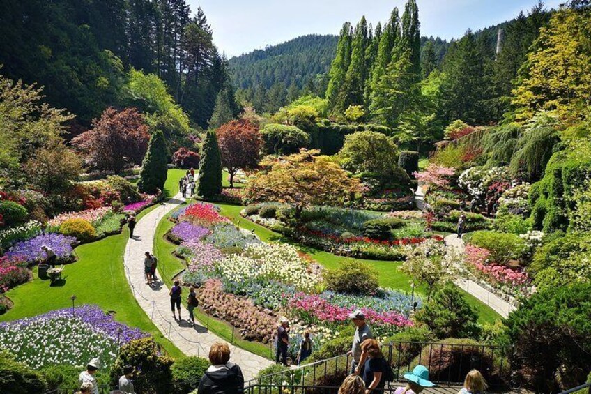 World famous Butchart Gardens, Do you see the Chimney stack from the original Portland Cement Manufacture? 
