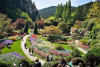Private City Highlights and Butchart Garden Tour in Victoria