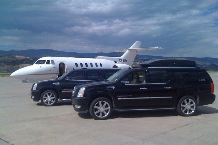 Show item 1 of 8. Corporate Airport Transportation Serving Detroit And Suronding Cites!
