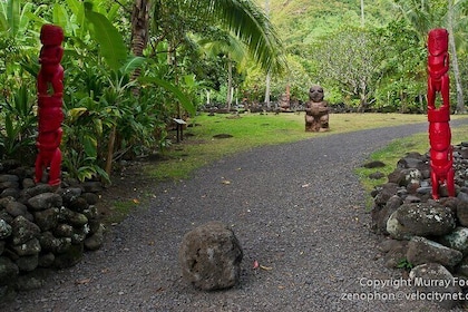 5 Hours Tahiti Island Tour - West and East Coast