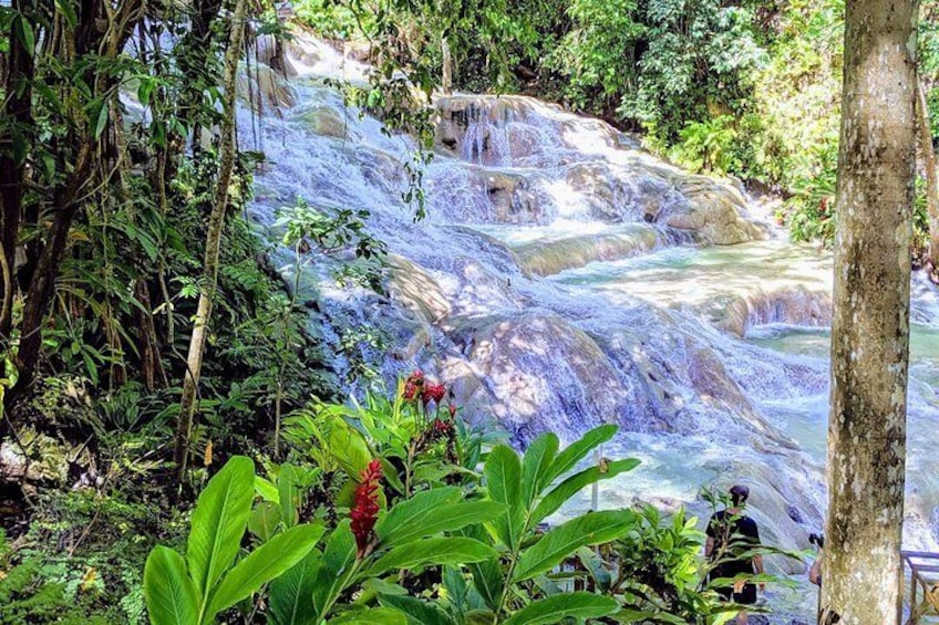 Cascading water falls.