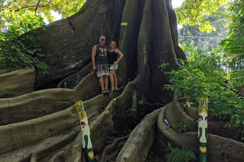Private Ocho Rios highlight tour