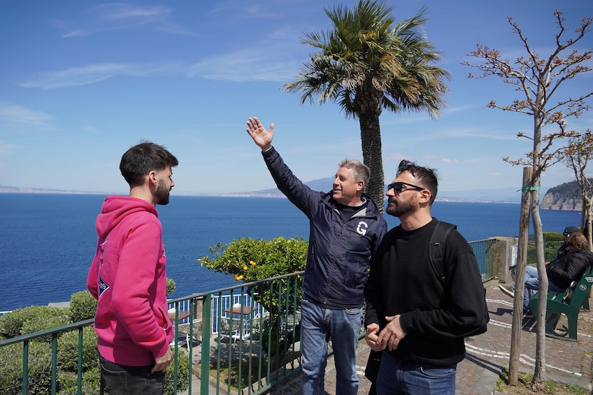 Pompeii Day Trip: Guided with optional pick-up or Ticket Only