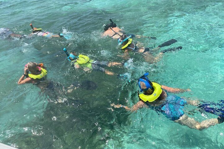 Bluefinn Charters Swimming with the turtles