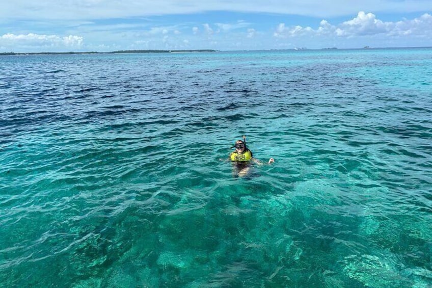 Bluefinn Charters Swimming with the turtles