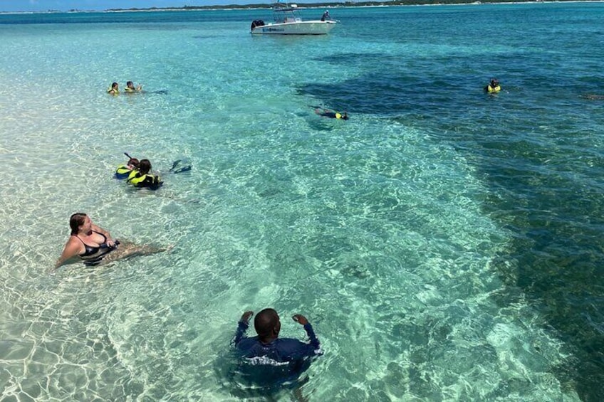 Bluefinn Charters Swimming with the turtles