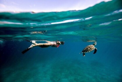 Aventura en Rose Island: snorkel, tortugas marinas y playa privada