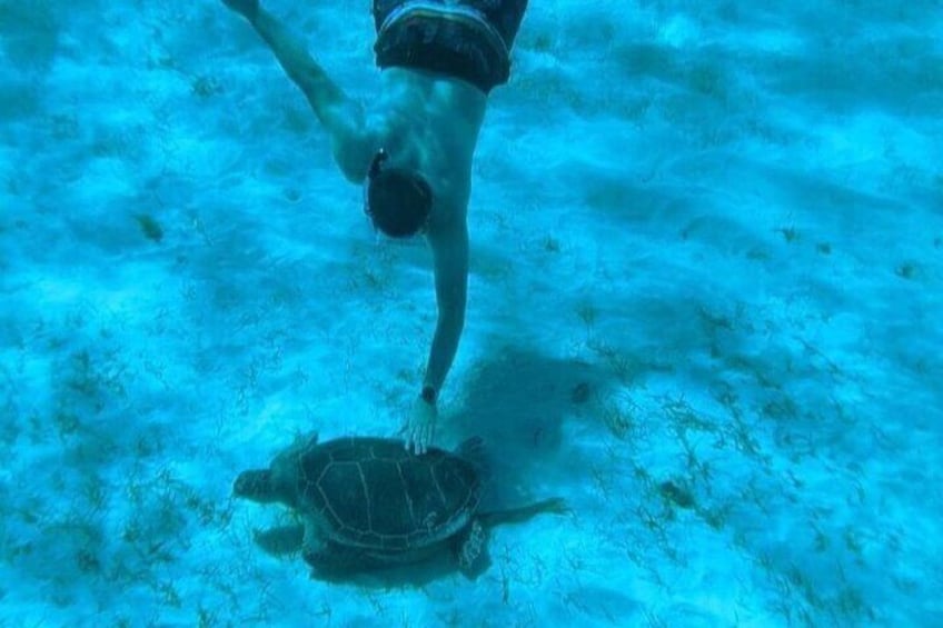 007 Morning All Inclusive Snorkeling and Beaching