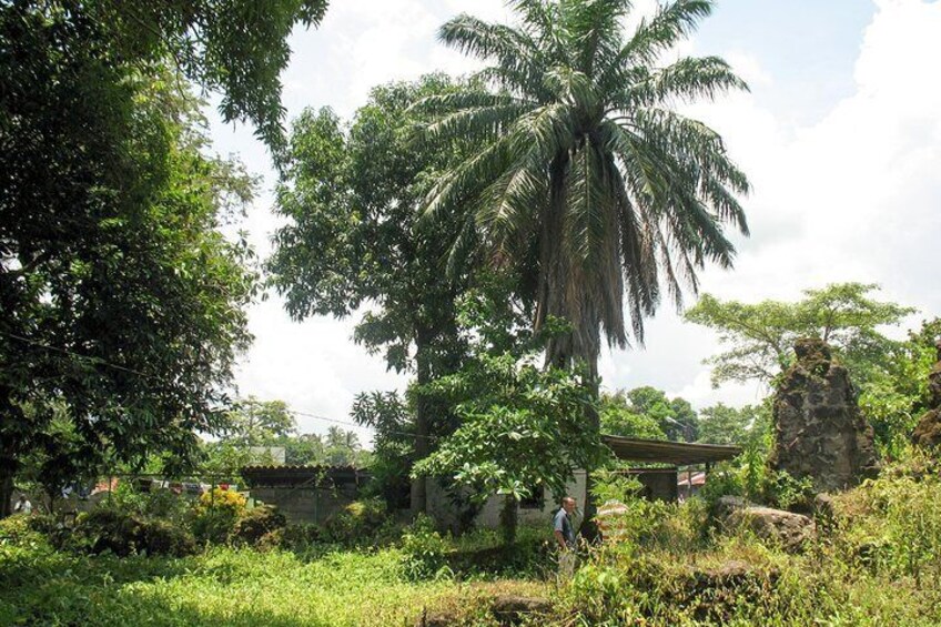 Discover Chinandega from Corinto Shore Excursion