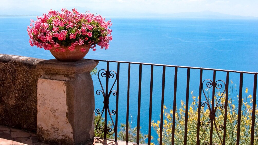 Flowers in full bloom off the coast of Italy.