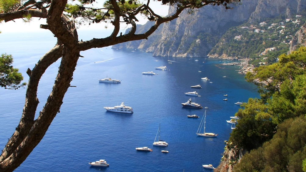 Many boats set sail for the Island of Capri during a peaceful sunny day in Italy.