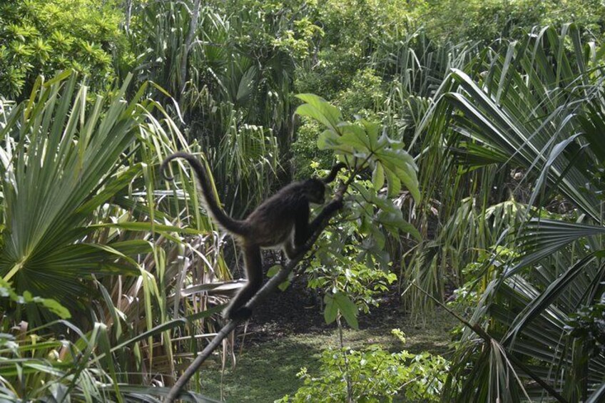 One Day Tour to Chacchoben Mayan City and Bacalar Lagoon with a Certified Guide