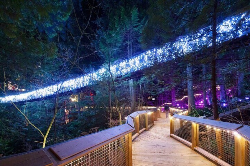 Small Group Tour: Capilano Suspension Bridge and Grouse Mountain from Vancouver
