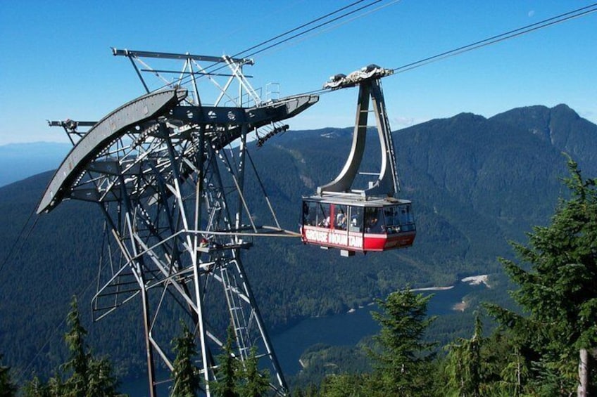 Small Group Tour: Capilano Suspension Bridge and Grouse Mountain from Vancouver