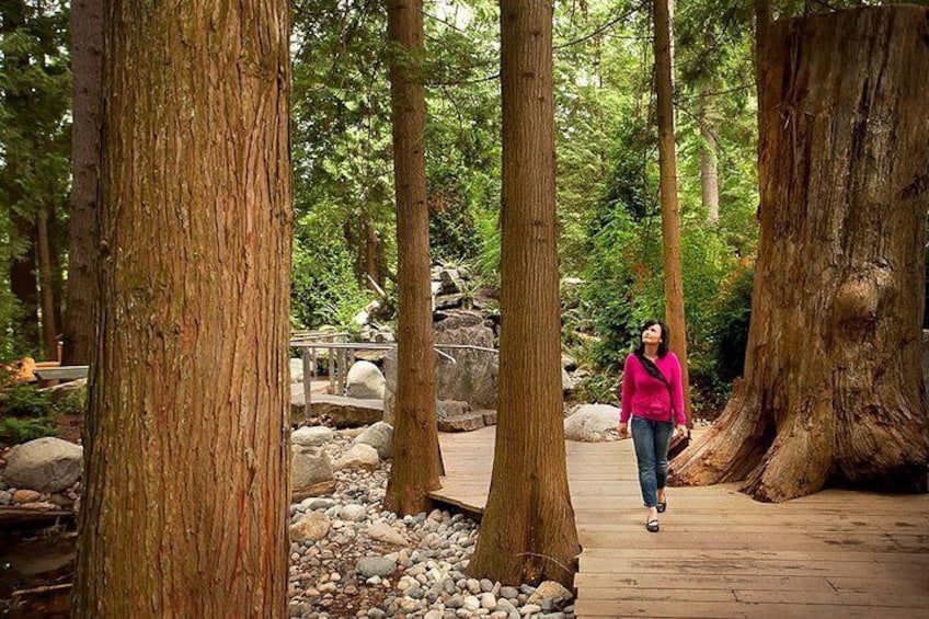 Small Group Tour: Capilano Suspension Bridge and Grouse Mountain from Vancouver