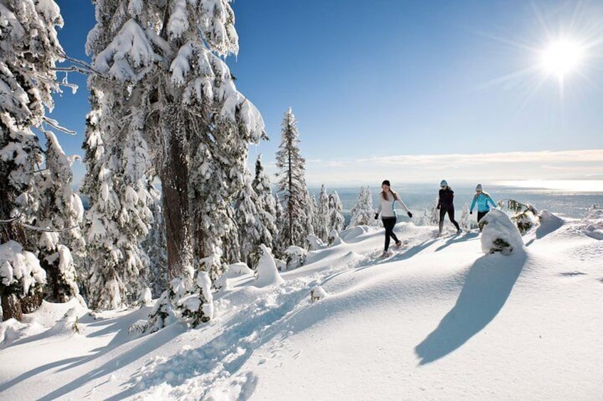 Small Group Tour: Capilano Suspension Bridge and Grouse Mountain from Vancouver