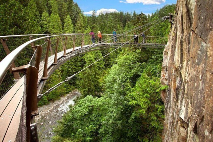 Small Group Tour: Capilano Suspension Bridge and Grouse Mountain from Vancouver