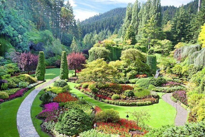 Private Tour: Victoria and Butchart Gardens Day Trip