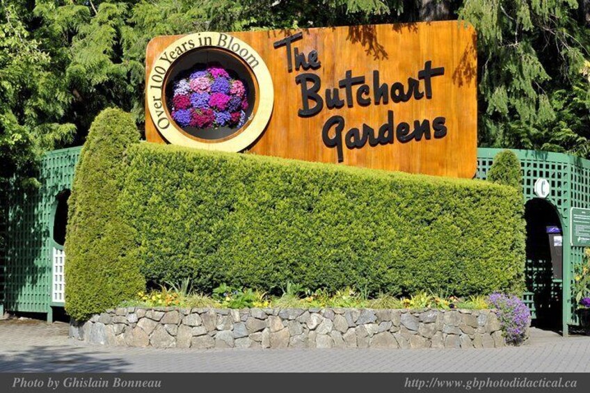 Private Tour: Victoria and Butchart Gardens Day Trip