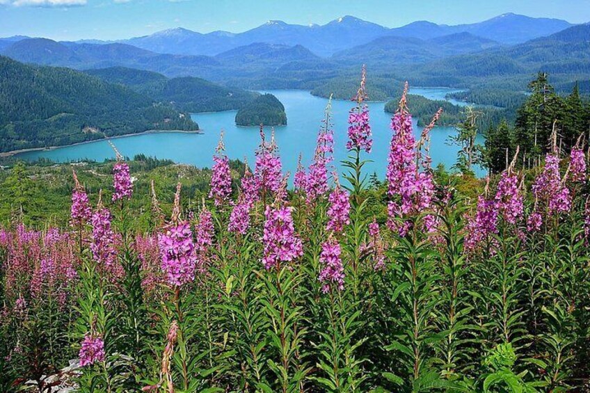 View from Deer Mountain