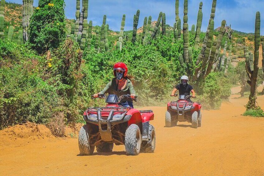 COMBO Horseback Beach Ride & Desert ATV Adventure in Los Cabos