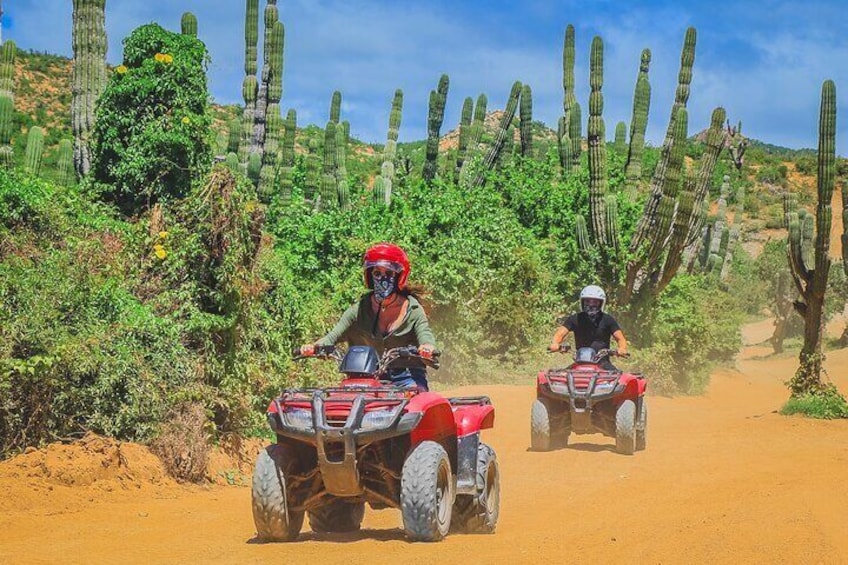 COMBO ATV & HORSEBACK Ride. Beach and Desert
