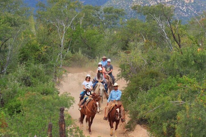 Los Cabos: ATV & HORSEBACK Ride. Beach and Desert