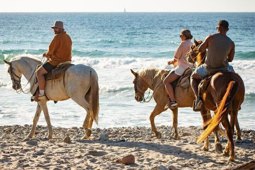 COMBO Horseback Beach Ride & Desert ATV Adventure in Los Cabos