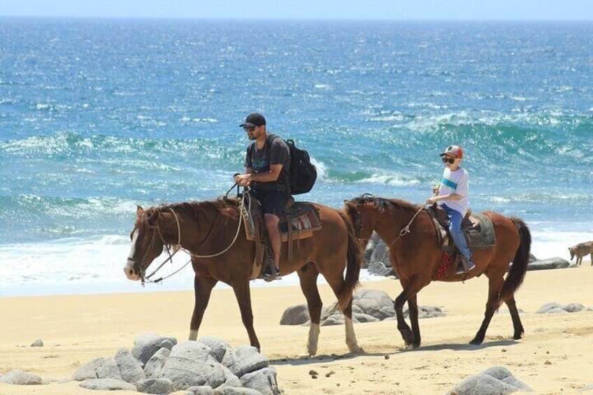 Los Cabos: ATV & HORSEBACK Ride. Beach and Desert